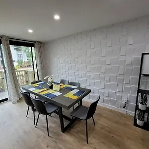  Villa Contemporary Bliss-newly Renovated Cozy United States